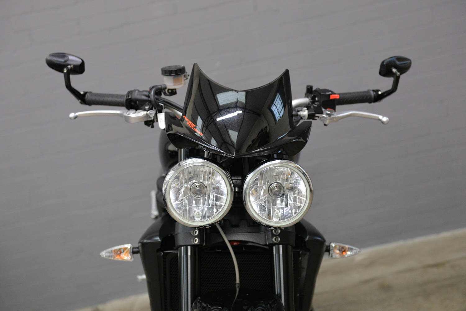 2009 Triumph Speed Triple 1050 15th Anniversary Edition